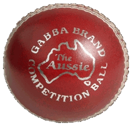 Gabba Cricket Ball